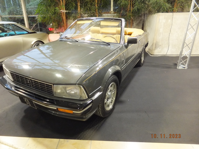 DSCF9660.JPG