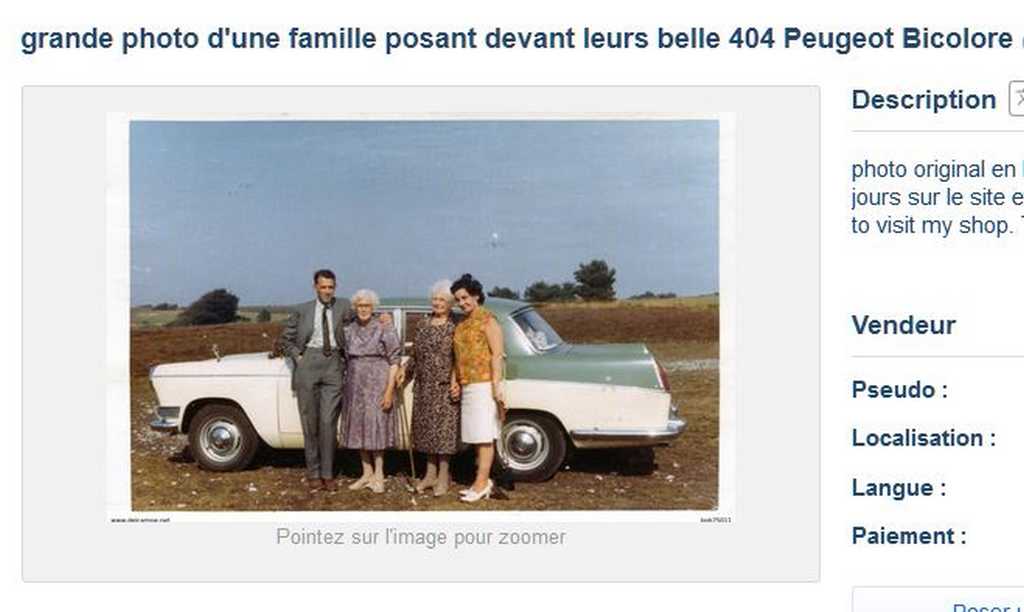 404 bicolore.JPG
