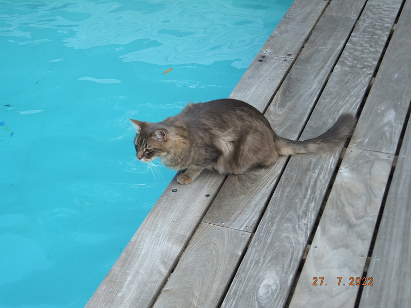 DSCF8737.JPG